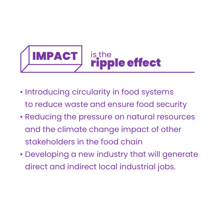 ImpactTxt_EN