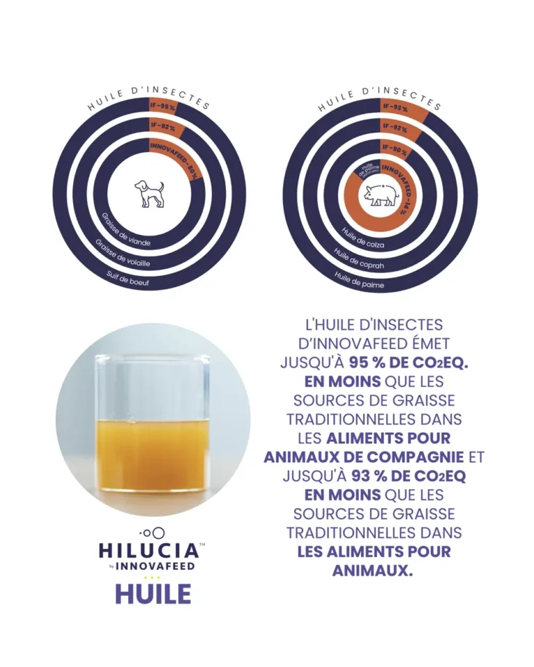 Oil_FR