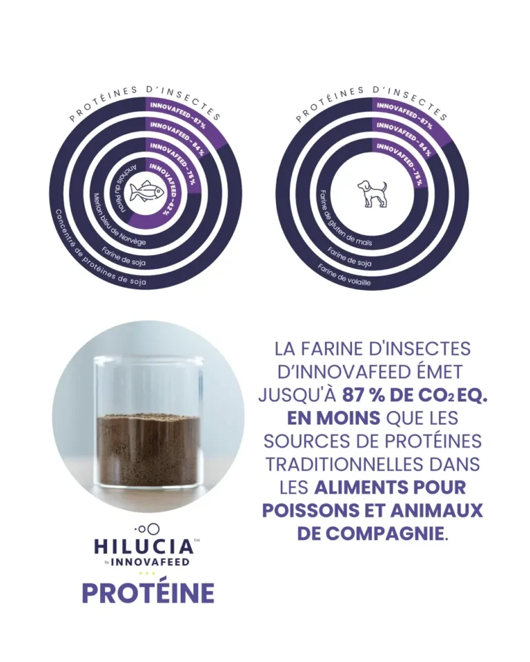 Proteine_FR