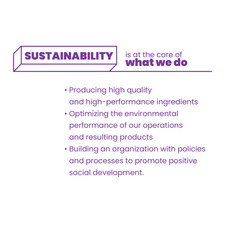 SustainabilityTxt_EN